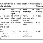 bacterial identification