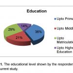 education level by respondents