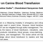 canine blood transfusion