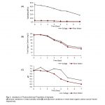 Moringa oleifera Seed Powder