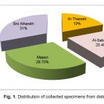 GAS among school children